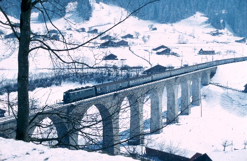 {short description of image}