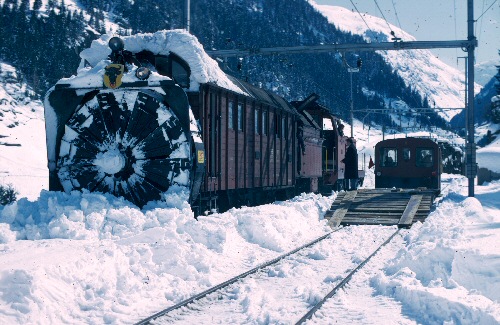 {short description of image}