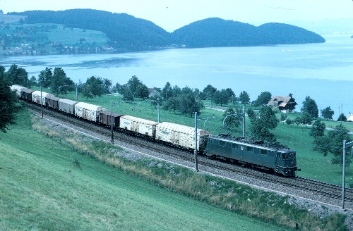 {short description of image}