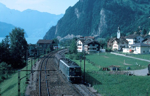 {short description of image}